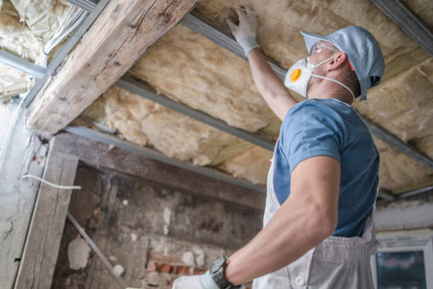  Laurel Park, NC Insulation Contractor Pros