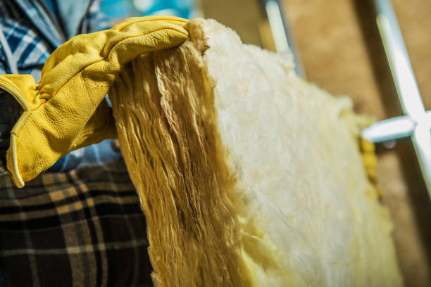 Types of Insulation We Offer in Laurel Park, NC